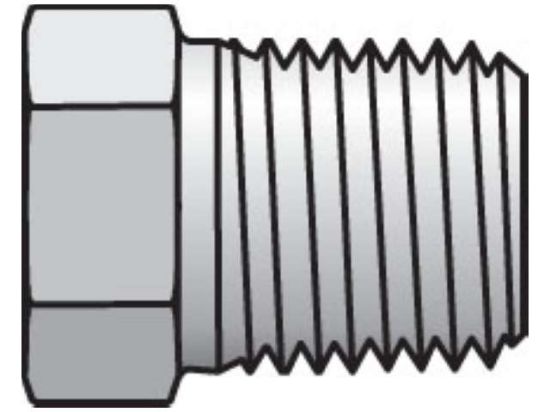 Picture of 1/4 HP-SS BP - Pipe & Port Plug and Cap HP