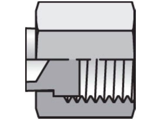Picture of 16 FNL-SS BP - Seal-Lok ORFS Plug and Cap FNL
