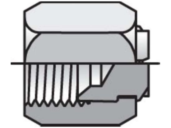 Picture of 10 FNTX-SS BP - Triple-Lok 37° Plug and Cap FNTX