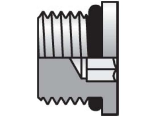 Picture of 4 HP5N-SS - Pipe & Port Plug and Cap HP5ON