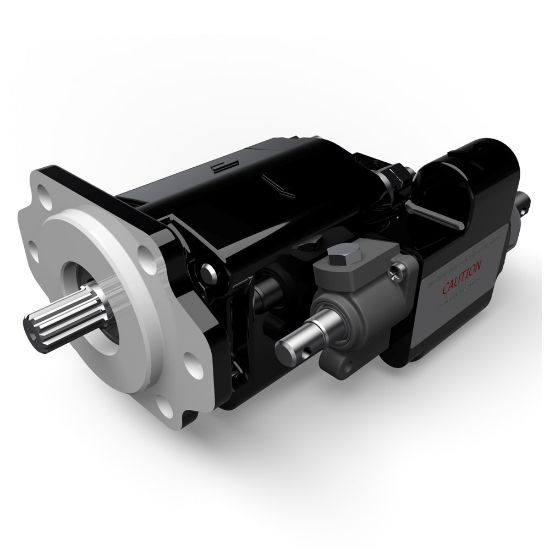 Picture of 3089310047 - Cast Iron Pumps – G101/G102 Series
