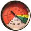 Picture of 936909 - Switches, Gauges and Indicators