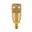 Picture of B10-5BP - Tru-Flate, Automotive Interchange Quick Connect Air Couplings - 10 Series