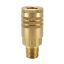 Picture of B52E - ARO 210 Interchange, Quick Connect Air Couplings - 50 Series