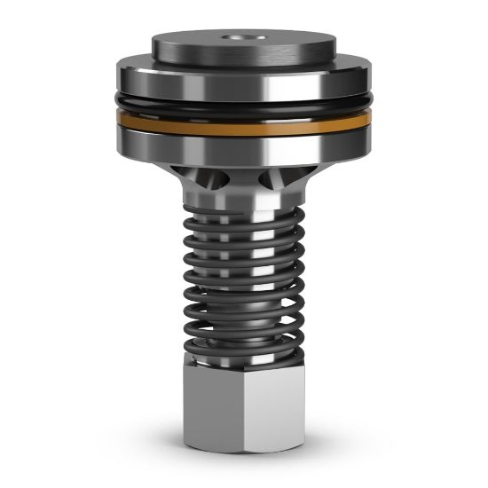 Picture of D1B125-0.0N - Insert Check Valves