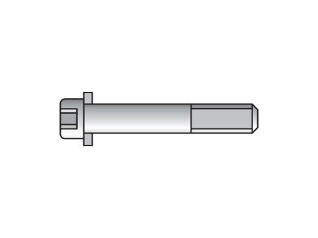 Picture for category Metric Standard Twin Series ISB Cap Screws