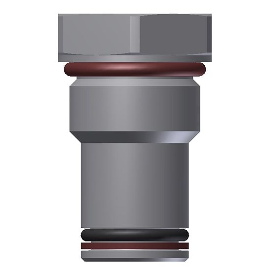 Picture of P12-2V - Cavity Plugs
