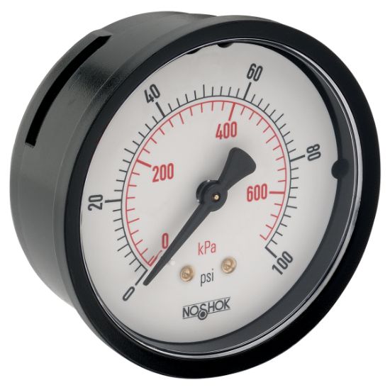 Picture of 25-110-160-psi/kPa - 100 Series Acrylonitrile Butadiene Styrene (ABS) and Steel Case Dry Pressure Gauges